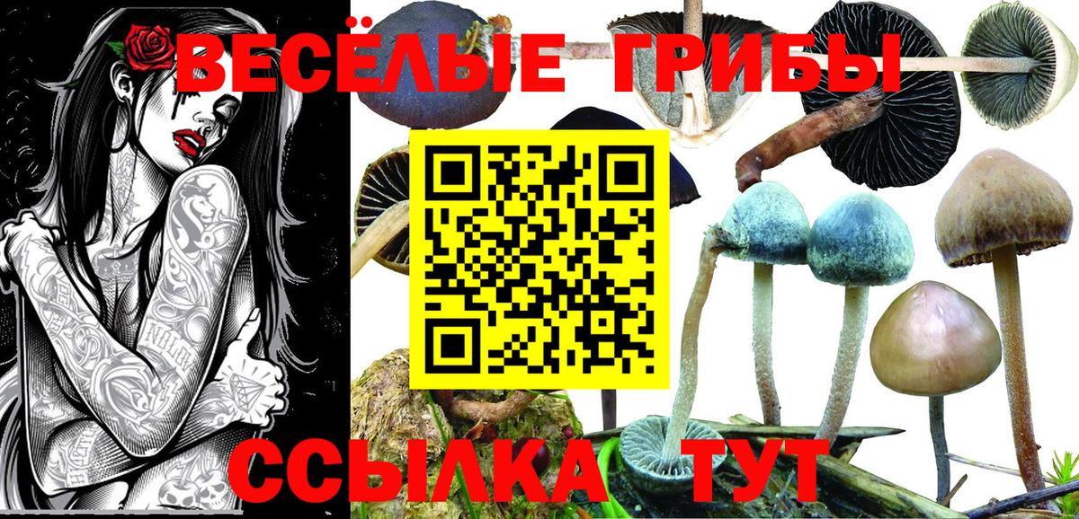 Галлюциногенные грибы Psilocybine cubensis  Вход с VPN  Валуйки 